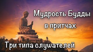 Мудрость Будды в притчах. Три типа слушателей. Притча о чистоте.