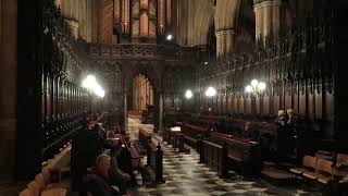 Beverley Minster Live