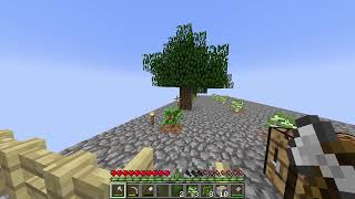 I Survived  100 days in ONE CHUNK in Minecraft ASMR Relaxing  Survival No Commentary no edit