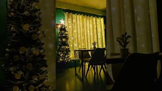 Curtain lights and Christmas Tree 🎄 #shorts #christmastree #curtainlights