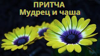 ПРИТЧА Мудрец и чаша. Мудрость веков.