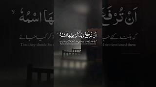 Surah Al Noor 🥀🕋❤️with translation #islamicvideos #youtubeshorts #shortfeed