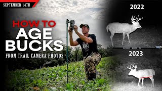 How to Age Bucks from Trail Camera Photos | Bowhunting Whitetails w/ Bill Winke