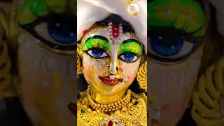 Special shringaar darshan 🙏#youtubeshorts #viralvideo #radhakrishna #shringgar