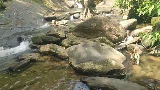 VAYALADA WATERFALLS