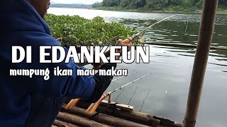 mancing cirata ‼️ Duduk di spot incaran banyak orang,ikan semua ges