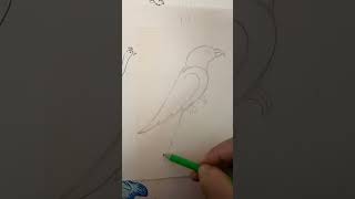 how to draw parrot🦜#viral #youtubeshorts #drawing #painting