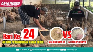 Part #24 | 60 Hari Perbandingan Malindo 9905 SP Vs CJ Feed IP-3 Super