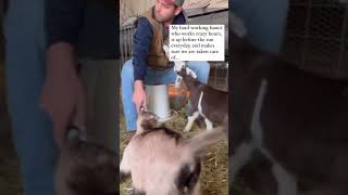 It was this moment he knew #farmlife #goats #homesteading