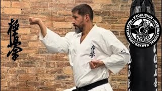 KYOKUSHIN KARATE PINAN SONO ICHI