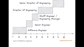 How fast can one move in the career ladder in software engineering?