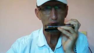 Aline - Christophe harmonica