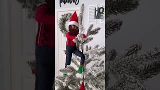 ELF ON THE SHELF | 2022 | BEAN & DAISY | DAY 10