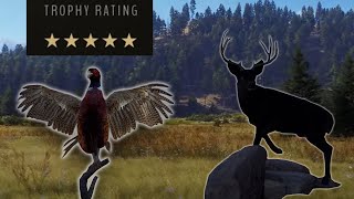 MELANISTIC Mule Deer + 5 Star Pheasant | Way of the Hunter For The FIRST Time