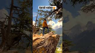 Beauty of Harsil Valley | #harsilvalley #shorts #youtubeshorts #trending