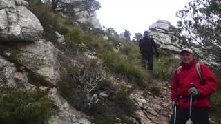 Puig de n'Ali   Amics de sa Tramuntana