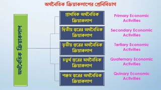 প্রাথমিক ও দ্বিতীয় স্তরের অথনৈতিক কাযাবলি।