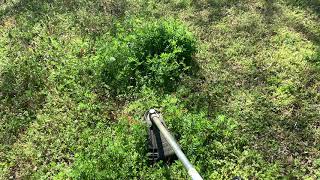 CUTTING OVERGROWN WEEDS!!! IN THE WOODS(SUPER SATISFYING)