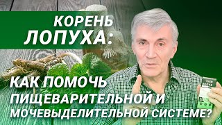 Экстракт Корня Лопуха от Витаукт – зачем нужен и как применять