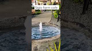 SIGLO FARM CAFE INDANG  #cafe #coffee #food #foodlover #vlog #shortvideo #youtubeshorts