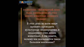 Как победить ЗооАД? Почему люди истребляют львов ради трофея и заключают животных в «концлагеря»