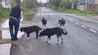 Справа в тому що У мене немає дому(((