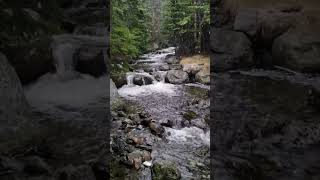 #shorts #shortvideo #nature #waterfall