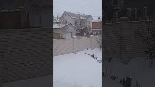 снегопад в Астрахани | snowfall in Astrakhan