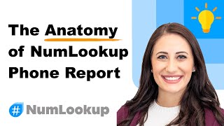 The Anatomy of NumLookup Phone Report