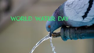 Are you wasting water? | March 22 | Must know on this day