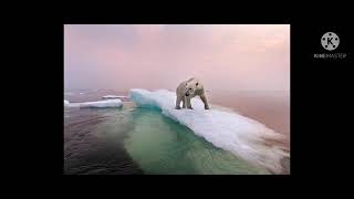 Causas de la contaminación del agua