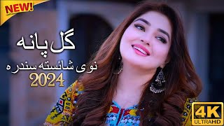 Gul Panra Pashto Song Da Wisal Tabiba Rasha - HD [2024]