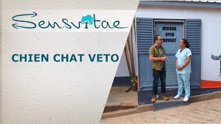 Reportage Chien Chat Veto à Antananarivo Madagascar