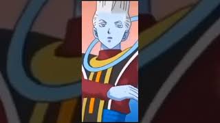 whis vs gogeta