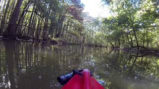 Ghost River Section of the Wolf River October 17, 2020