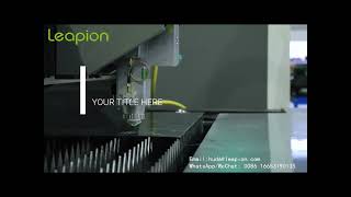 Leapion fiber laser 3015ST metal sheet and tube cutting machine