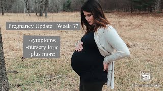 Pregnancy Update | Week 37