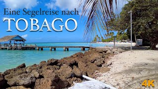 Warum du als Segler TOBAGO nicht verpassen darfst! | Entdecke das echte Tobago