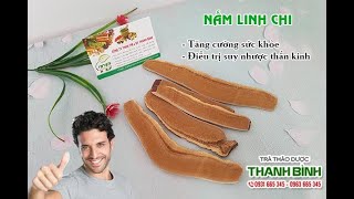 Nấm Linh Chi | Công dụng của nấm linh chi