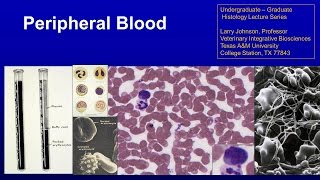 9. Peripheral Blood Lecture