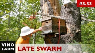 My First Swarm! (Not what you're thinking.)