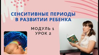 Сензитивные периоды в развитии ребенка