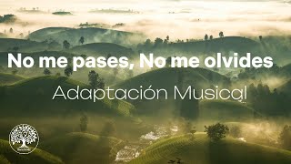 Himnos De Vida # 301 No me pases, No me olvides - Adaptación Musical