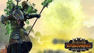 Have We Gone Too Far? - (Total War Warhammer 3)