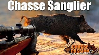 Chasse au sanglier - Beaucoup de tirs !