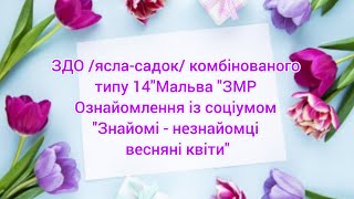 Ознайомлення із соціумом