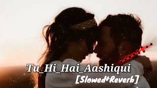 Tu hi hai aashiqui [slowed+Reverb] hindi lofi song  lyrics song