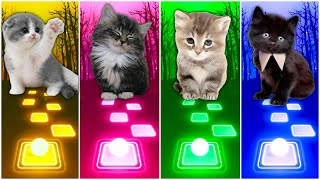 CUTE CATS - JISOO FLOWER VS IMAGINE DRAGONS BONES VS WELLERMAN VS WAKA WAKA TILES HOP EDM RUSH