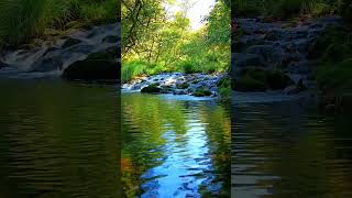 🇪🇸 🌳 Río Almofrei (Cerdedo-Cotobade) #Senderismo #Galicia #España #Shorts