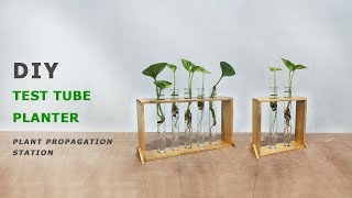 Test Tube Planter | How To Make a Wooden Plant Propagation Station